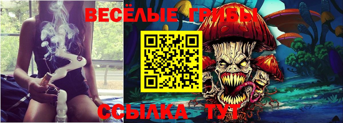 Галлюциногенные грибы Magic Shrooms  наркота  Вольск  Вход с VPN 